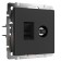 Розетка Werkel ТВ+Ethernet RJ-45 черный матовый W1181308