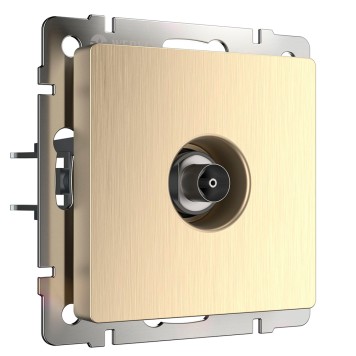 ТВ-розетка оконечная Werkel шампань рифленый W1183010