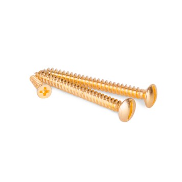 Винты для накладного выключателя Werkel золото WL18-21-01