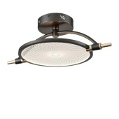 Светильник потолочный Wertmark Laura WE430.01.027