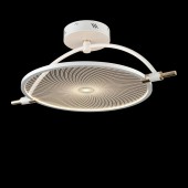 Светильник потолочный Wertmark Laura WE430.02.007