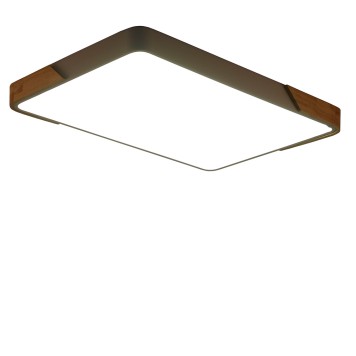 Светильник потолочный Zortes Alberro ZRS.01233.60-1