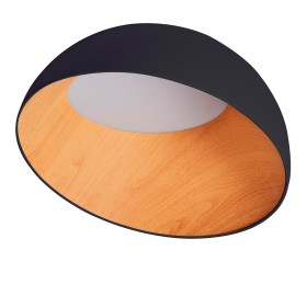 Светильник потолочный Zortes Baum ZRS.01243.05