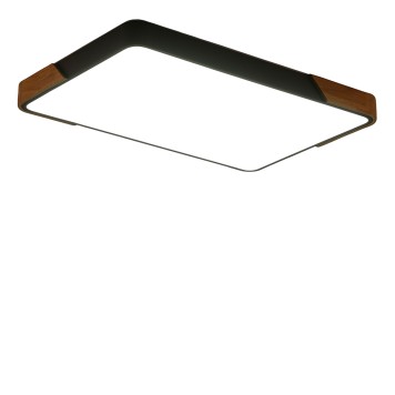 Светильник потолочный Zortes Alberro ZRS.01277.60-1