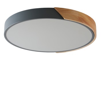 Светильник настенно-потолочный Zortes Alberro ZRS.01280.36-2