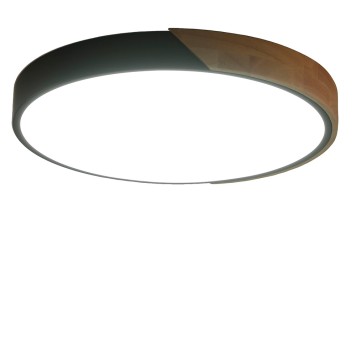 Светильник потолочный Zortes Alberro ZRS.01280.48-1