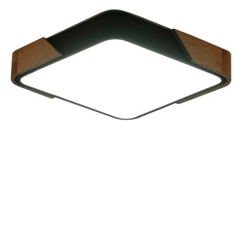 Светильник потолочный Zortes Alberro ZRS.01281.48-1