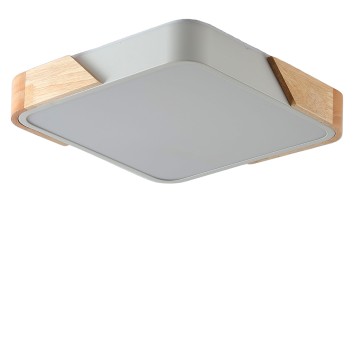 Светильник настенно-потолочный Zortes Alberro ZRS.01285.24-1