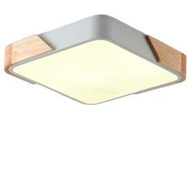 Светильник потолочный Zortes Alberro ZRS.01285.36