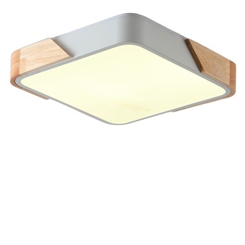 Светильник потолочный Zortes Alberro ZRS.01285.48