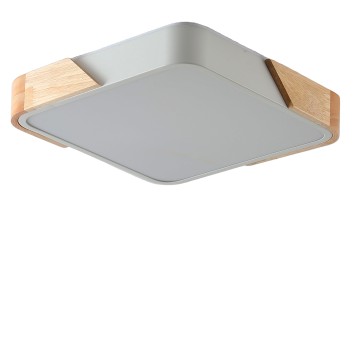 Светильник потолочный Zortes Alberro ZRS.01285.60-1