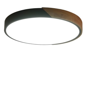 Светильник настенно-потолочный Zortes Alberro ZRS.01287.24-1