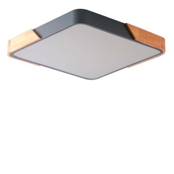 Светильник потолочный Zortes Alberro ZRS.01288.36-1