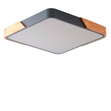 Светильник потолочный Zortes Alberro ZRS.01288.48-1