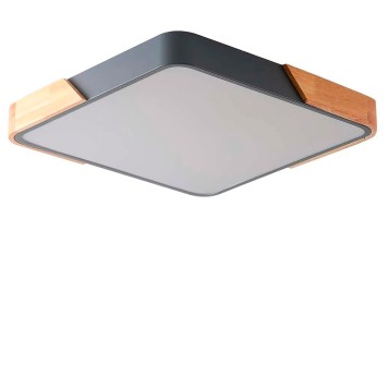 Светильник потолочный Zortes Alberro ZRS.01288.60-1