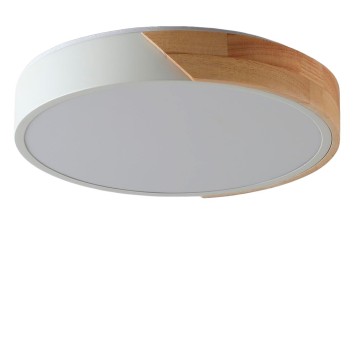 Светильник потолочный Zortes Alberro ZRS.01289.48-2