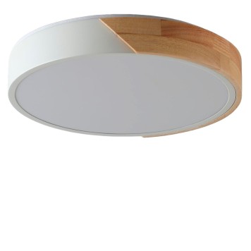 Светильник потолочный Zortes Alberro ZRS.01289.72-2