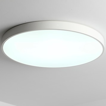 Светильник потолочный Zortes Tortty ZRS.02564.120-1