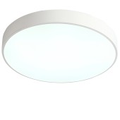 Светильник потолочный Zortes Tortty ZRS.02564.72