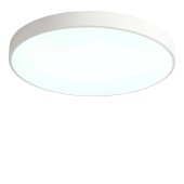 Светильник потолочный Zortes Tortty ZRS.02564.96