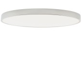 Светильник потолочный Zortes Tortty ZRS.02565.120