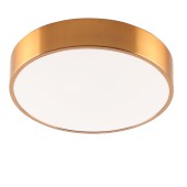 Светильник потолочный Zortes Tortty ZRS.02566.36