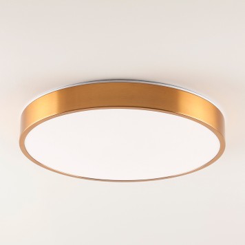 Светильник потолочный Zortes Tortty ZRS.02566.72-2