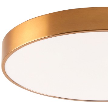 Светильник потолочный Zortes Tortty ZRS.02566.96-1