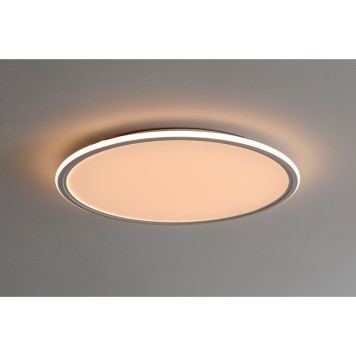 Светильник потолочный Zortes Galo ZRS.10112.13-2