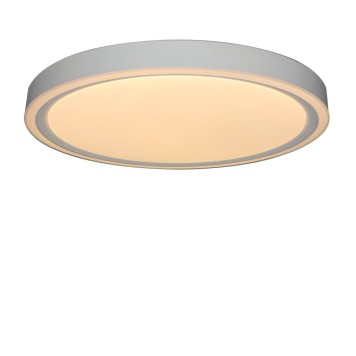 Светильник потолочный Zortes Bella ZRS.1200.04