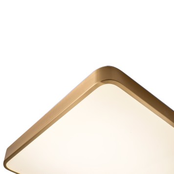 Светильник потолочный Zortes Monna ZRS.1209.03-5