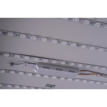 Светильник потолочный Zortes Monna ZRS.1209.07-11