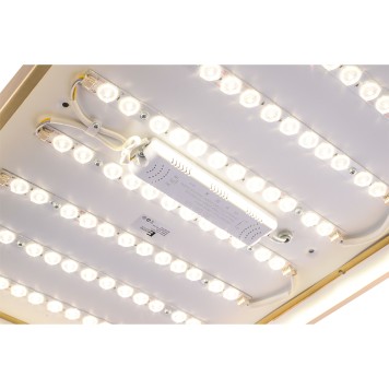 Светильник потолочный Zortes Monna ZRS.1209.09-12