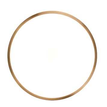 Светильник потолочный Zortes Monna ZRS.1209.10-2