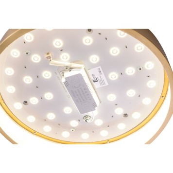 Светильник потолочный Zortes Monna ZRS.1209.10-6