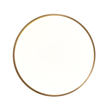 Светильник потолочный Zortes Monna ZRS.1209.11-1