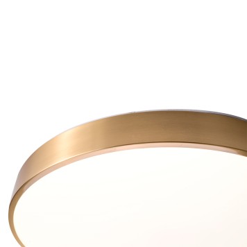 Светильник потолочный Zortes Monna ZRS.1209.12-3