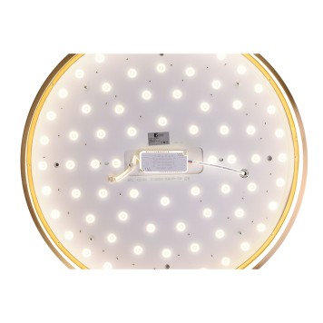 Светильник потолочный Zortes Monna ZRS.1209.12-7