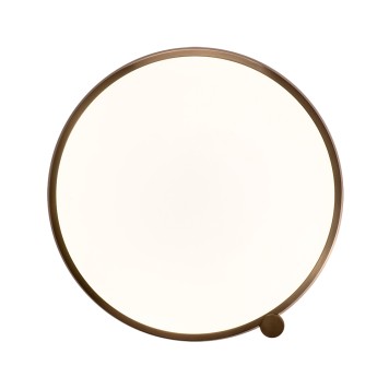 Светильник потолочный Zortes Gimpel ZRS.1209.17-2