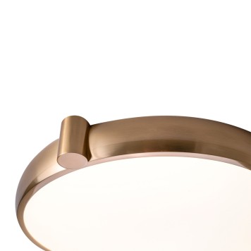 Светильник потолочный Zortes Gimpel ZRS.1209.17-4