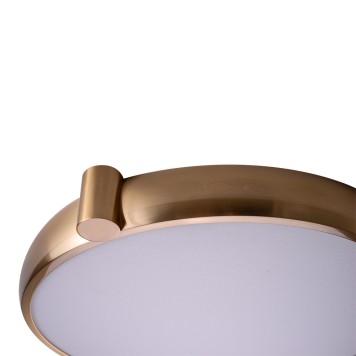 Светильник потолочный Zortes Gimpel ZRS.1209.17-5