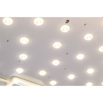 Светильник потолочный Zortes Gimpel ZRS.1209.18-10