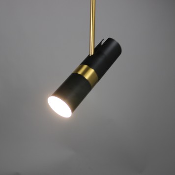 Люстра Zortes Tweeny ZRS.1828.30-6